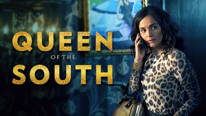 series similar to queen of the south on netflix