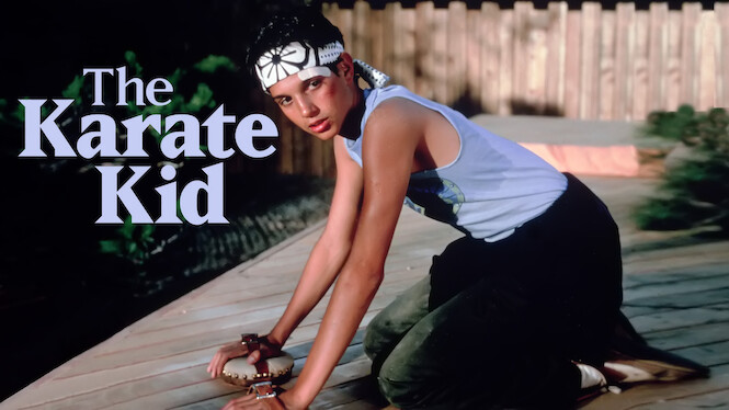 the karate kid netflix series